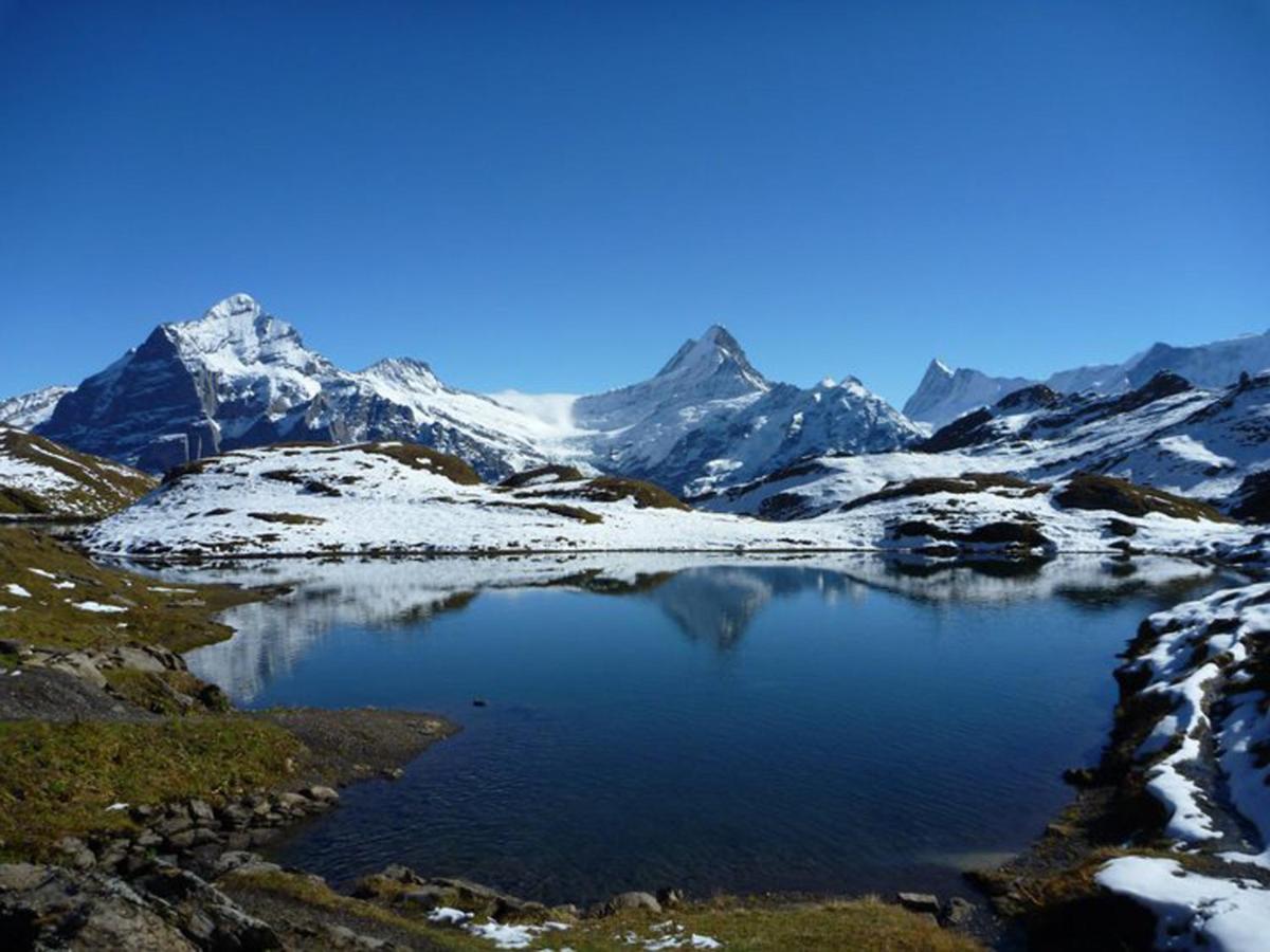 Appartamento Luxury, New - Amazing Views Grindelwald Eiger Jungfrau Moench Esterno foto