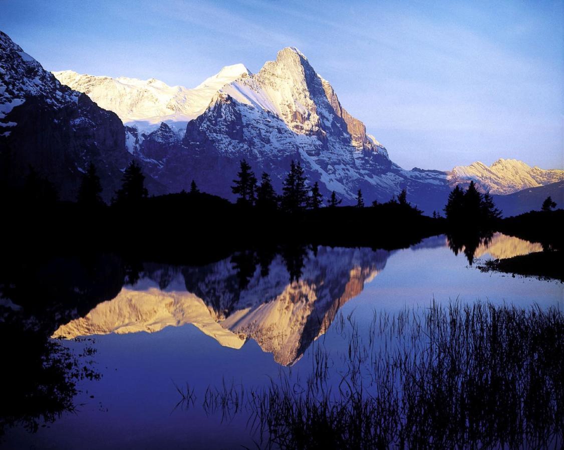 Appartamento Luxury, New - Amazing Views Grindelwald Eiger Jungfrau Moench Esterno foto